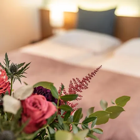 Hotel Heinhotel Vienna Airport