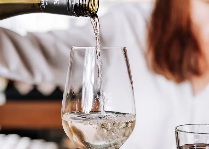 Heinhotel Vienna Airport Hotel Schwechat