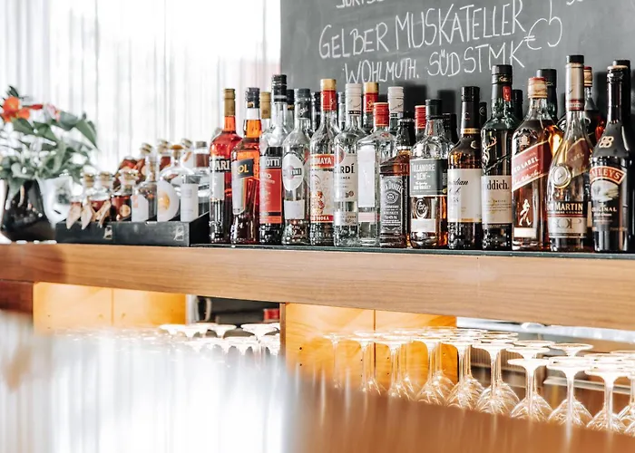 Heinhotel Vienna Airport Hotel Schwechat